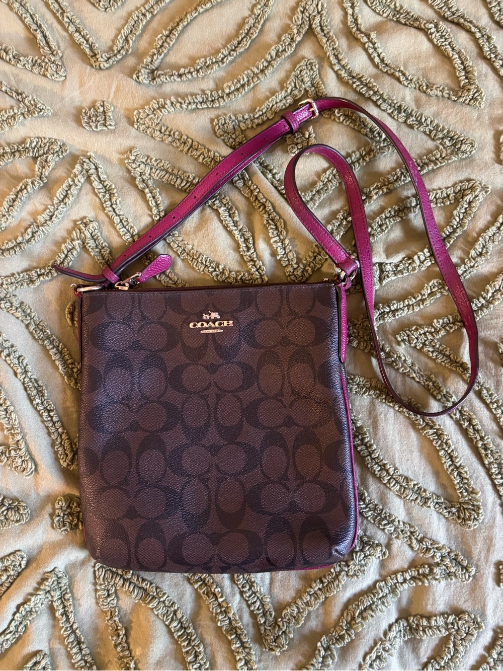 Coach Brown Signature North South Crossbody Bag